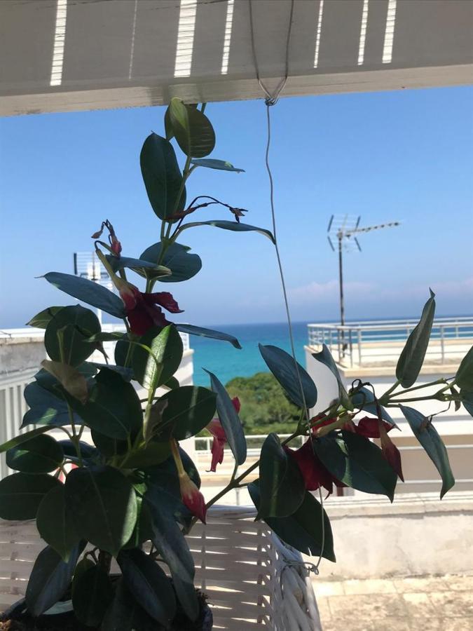 B&B Vistamareblu San Foca Kültér fotó