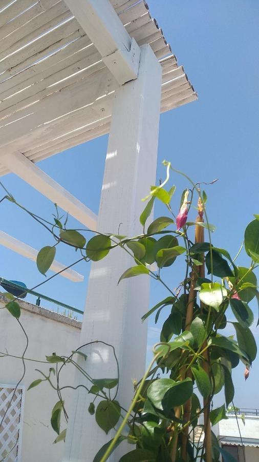 B&B Vistamareblu San Foca Kültér fotó